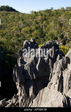 Il massiccio di Ankarana, tsingy e bosco di latifoglie, Ankarana riserva speciale, Madagascar Foto Stock
