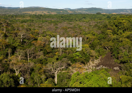 Il massiccio di Ankarana, tsingy e bosco di latifoglie, Ankarana riserva speciale, Madagascar Foto Stock