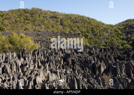 Il massiccio di Ankarana, tsingy, Ankarana riserva speciale, Madagascar Foto Stock