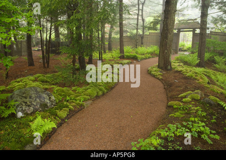 Asticou Azalea Giardini nella zona nord-est di Porto, Maine. Vicino al Parco Nazionale di Acadia su Mt. Isola deserta. Foto Stock