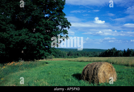 Nuovo Gloucester, ME una balla di fieno in un campo a Sabbathday Lake Shaker Village. Foto Stock