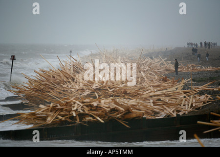 Legname da il principe di ghiaccio viene lavato fino a Worthing beach in West Sussex 20 gennaio 2008 foto da James Boardman Foto Stock