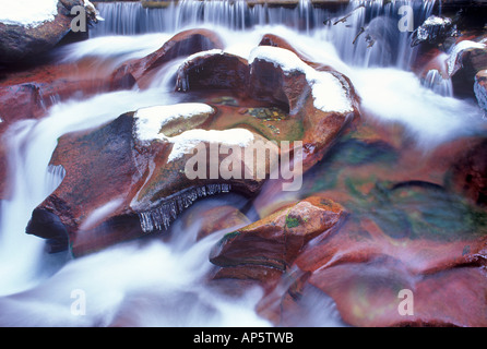 Avalanche Creek in inverno nel Parco Nazionale di Glacier Montana Foto Stock