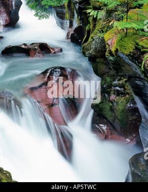 Avalanche Gorge nel Parco Nazionale di Glacier nel Montana Foto Stock