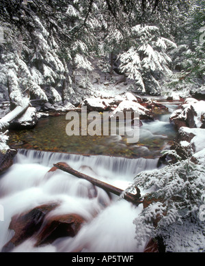 Avalanche Creek nel Glacier National Park Montana dopo una nevicata Foto Stock