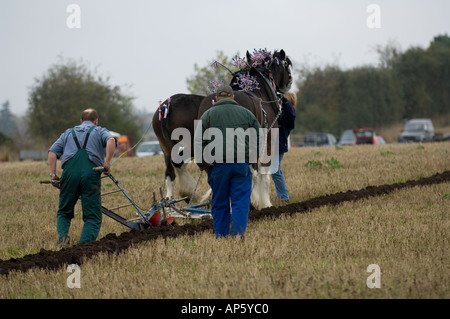 Agricoltori e cavallo aratro a concorrenza di aratura Foto Stock