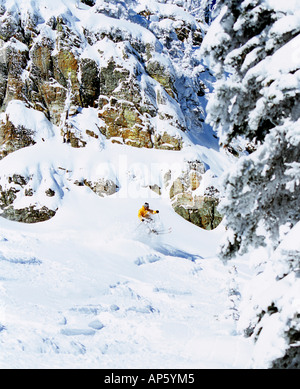 Sciatore su pendii scoscesi in polvere al Big Mountain Resort in Whitefish Montana (MR) Foto Stock