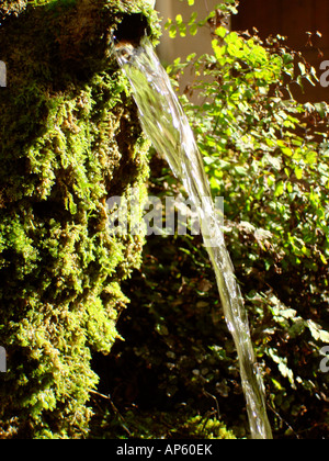 Fontana ricoperta con moss nel villaggio di Bargemon, Var, Francia Foto Stock