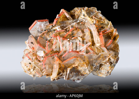 La barite con Realgar sui bordi del cristallo da Felsobanya Romania Foto Stock