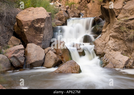 Una piccola cascata nella casella di Guadalupe Canyon in Jemez montagne del nord del New Mexico. Foto Stock