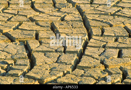 Essiccato l alveo del lago durante le condizioni di siccità in Inghilterra Foto Stock