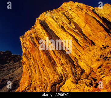 Legno pietrificato, Theodore Roosevelt National Park in North Dakota Foto Stock