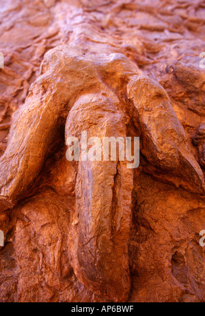 Fossili di dinosauro via in St George Utah Foto Stock