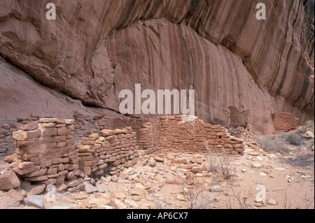 Vicino a Blanding, UT ancestrali rovine dei Pueblo sotto una rupe in Arch Canyon. BLM land. Foto Stock