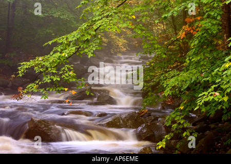 Stati Uniti d'America, Vermont, East Arlington, i ruscelli lungo l'Appalachian Trail Foto Stock