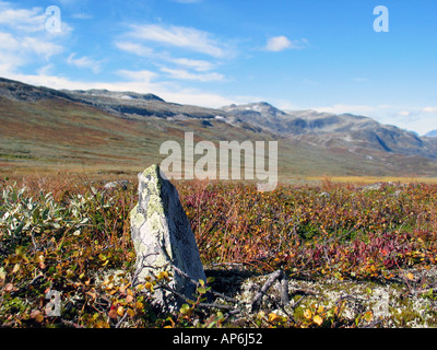 Rock in piedi fuori sul Slettefjell, Vladresflya, durante l'estate Indiana Jotunheimen, Norvegia Foto Stock