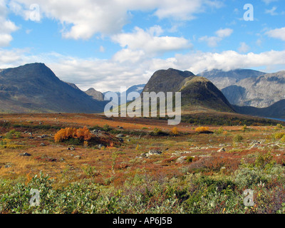 Estate Indiana su Valdresflya, Jotunheimen, Norvegia Foto Stock