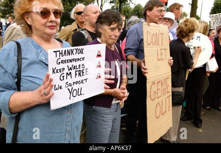 I sostenitori di Greenpeace che protestavano contro la coltivazione di colture GM in Galles a Cardiff South Wales UK Foto Stock