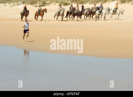 El Palmar Costa de la Luz la provincia di Cadiz Cadice Andalusia Spagna Playa del Palmar equitazione sulla spiaggia Foto Stock