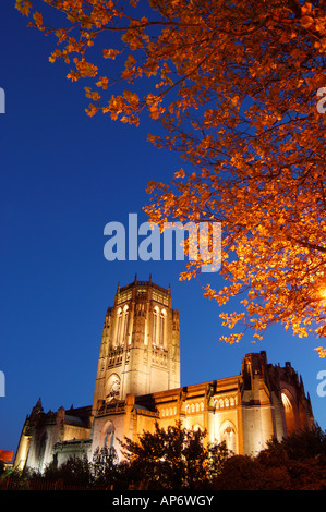 Immagine notturna del Liverpool imponente Cattedrale anglicana con alberi autunnali in primo piano Foto Stock