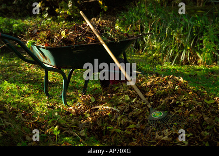 Foglie di autunno e Rake sotto agli alberi in giardino Foto Stock