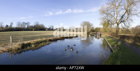 La stratford upon avon canal lapworth volo di serrature warwickshire Midlands England Regno Unito Foto Stock
