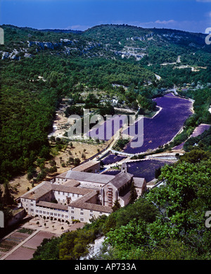 Campi di lavanda in parte anteriore del XII secolo Abbaye de Senanque Vaucluse Francia Foto Stock