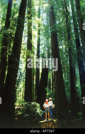 Madre e figlio di sostare sotto gli alberi più alti del mondo in California Foto Stock