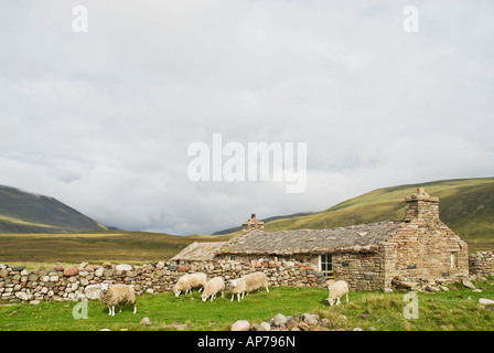 Bothy Burnmouth, antica pietra crofters casa ora trasformata in libera i viaggiatori rifugio a Rackwick Bay, Hoy, isole Orcadi, Scozia Foto Stock