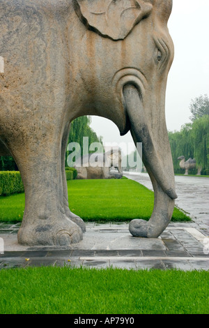Via Sacra, le Tombe dei Ming Foto Stock