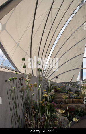 Le piante nella nuova casa alpina a Kew Gardens nel Surrey, Londra Foto Stock