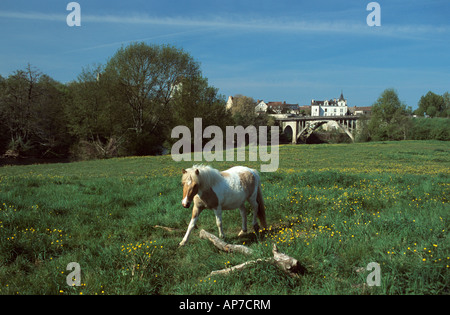 Il cavallo e la vista di La Roche Posay, Vienne, in Francia. Foto Stock