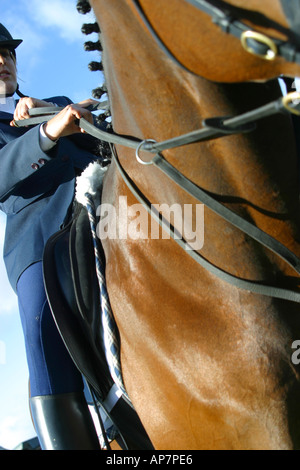 Giovane ragazza a cavallo pronto per mostrare vicino il raccolto Foto Stock