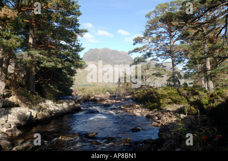 Fiume Grudie & Slioch montagna, Kinlochewe, Wester Ross. Highlands scozzesi. XPL 3517-342 Foto Stock