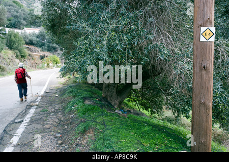 Grecia Creta occidentale Walker sulla E4 sentiero Foto Stock