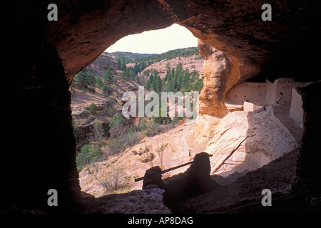 Guardando fuori dalla principale rovina a Gila Cliff Dwellings Gila Cliff Dwellings National Monument New Mexico Foto Stock