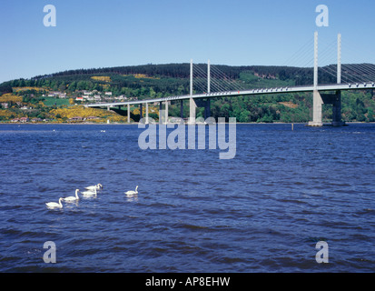 ponte dh KESSOCK ponte INVERNESSSHIRE Swans ponte Nord Kessock Isola Nera inverness roadbridge si estende fino a firth sul fiume scozia Foto Stock