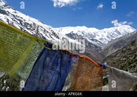 Bandiere di preghiera. Thare Gompa monastero. Sulla strada per il Lago Tilicho. Circuito di Annapurna trek. Il Nepal Foto Stock
