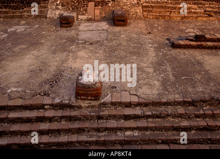 Templo Mayor, azteca rovina, Aztec Ruins, museo del Templo Mayor, Città del Messico, del distretto federale, Messico Foto Stock