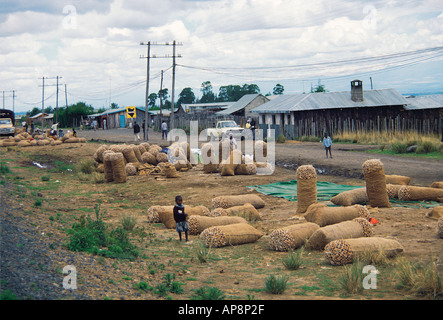 Sacchi di patate in attesa per la raccolta a lato della strada sull'equatore vicino a Nanyuki Kenya Africa orientale Foto Stock