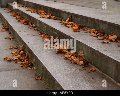 Foglia-coperto scalinata di granito a concedere la tomba in autunno a New York City. Foto Stock