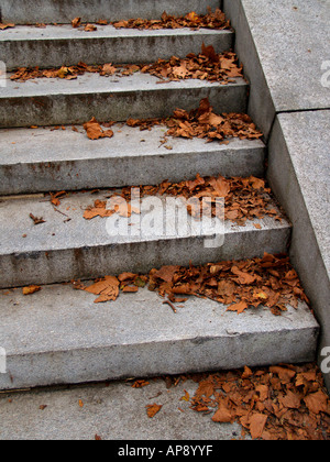 Foglia-coperto scalinata di granito a concedere la tomba in autunno a New York City. Foto Stock