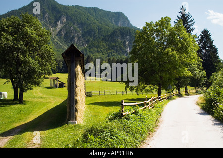 Paesaggio con fieno tradizionali rack di asciugatura vicino a Mojstrana Slovenia Foto Stock