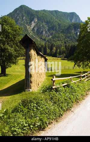 Paesaggio con fieno tradizionali rack di asciugatura vicino a Mojstrana Slovenia Foto Stock