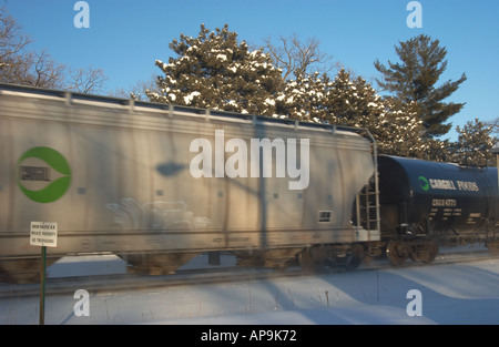 Presenza di neve e freddo nitido e chiaro con il blu del cielo Foto Stock