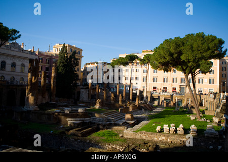 Area Sacra di Largo Argentina Area Sacra di Largo Argentina Roma 30 Novembre 2007 Foto Stock