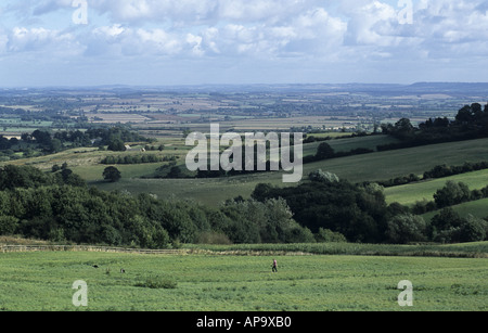Campagna del Warwickshire da Ilmington giù, Warwickshire, Inghilterra, Regno Unito Foto Stock