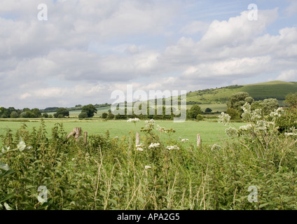 Una vista al di sopra del Wiltshire terreni agricoli campagna verso Roundway Down, Devizes. Foto Stock