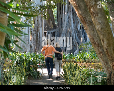 Coppia giovane a camminare verso un gigante Banyan Tree nel Jardin Botanico o La Orotava giardino di acclimatazione, Puerto de la Cruz Foto Stock