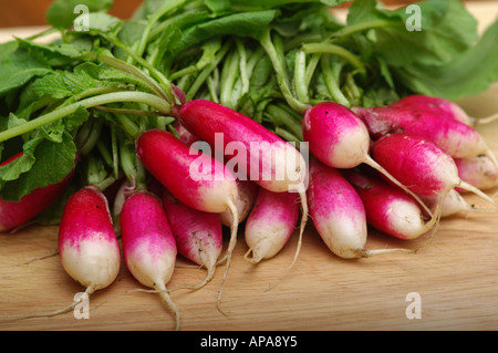 Il Ravanello di prima colazione francese sul tagliere Foto Stock